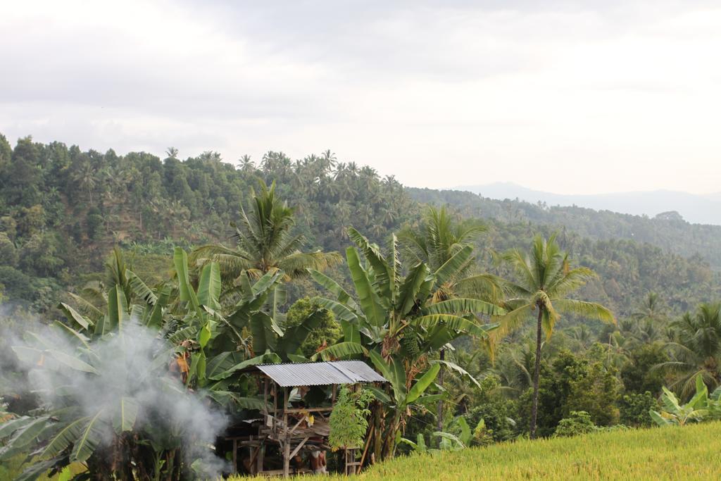 Yoga Homestay Munduk Extérieur photo