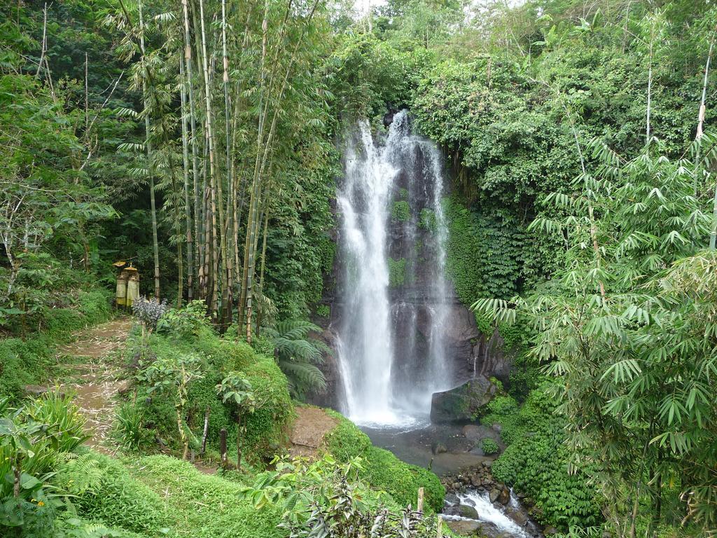 Yoga Homestay Munduk Extérieur photo