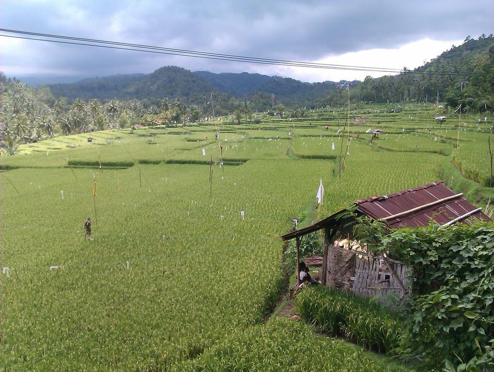 Yoga Homestay Munduk Extérieur photo