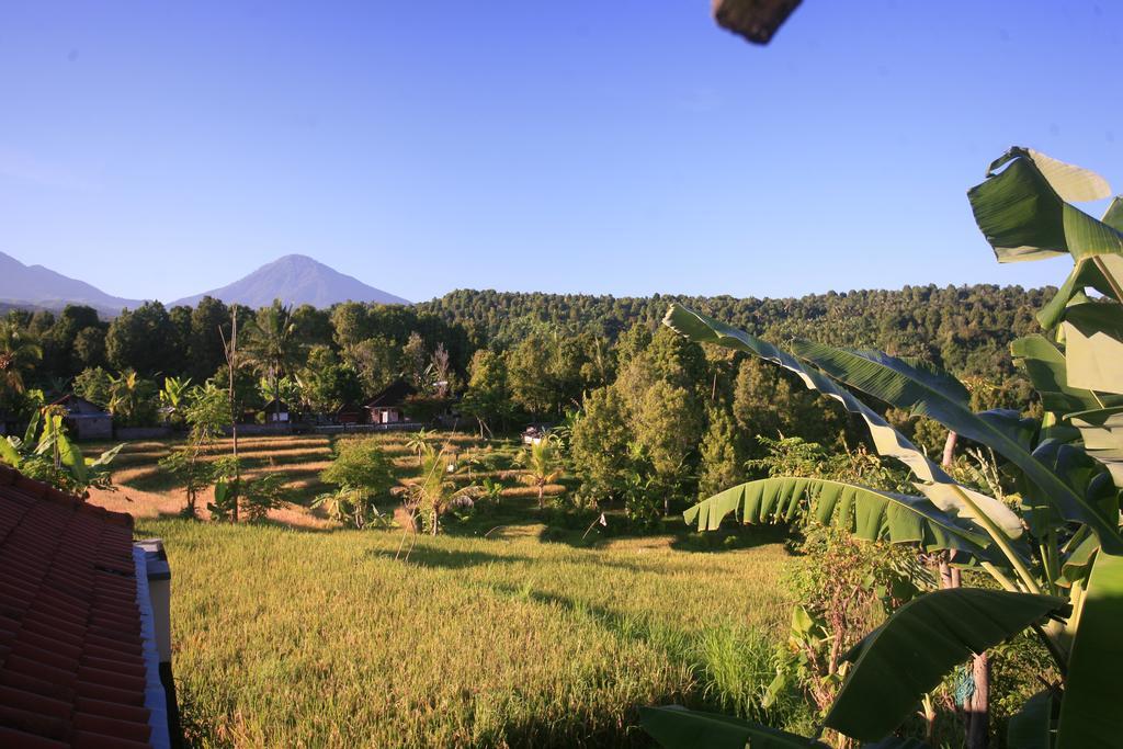 Yoga Homestay Munduk Extérieur photo