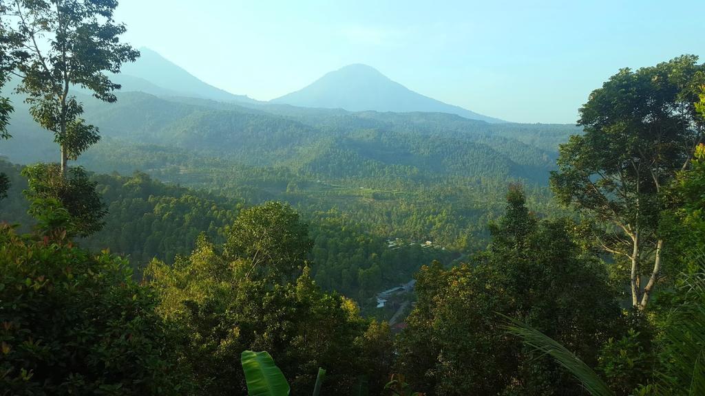 Yoga Homestay Munduk Extérieur photo