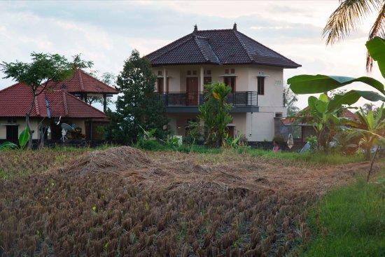 Yoga Homestay Munduk Extérieur photo